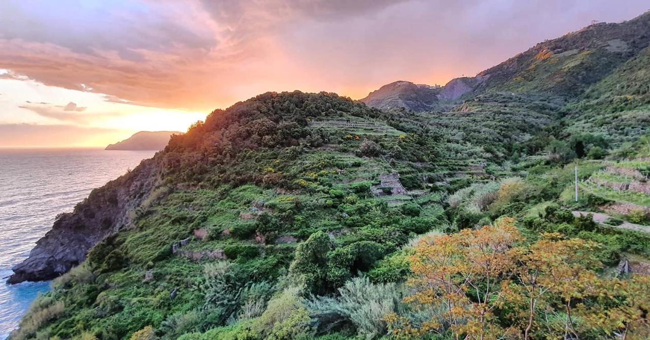 Hotel Arbanella Corniglia Zewnętrze zdjęcie