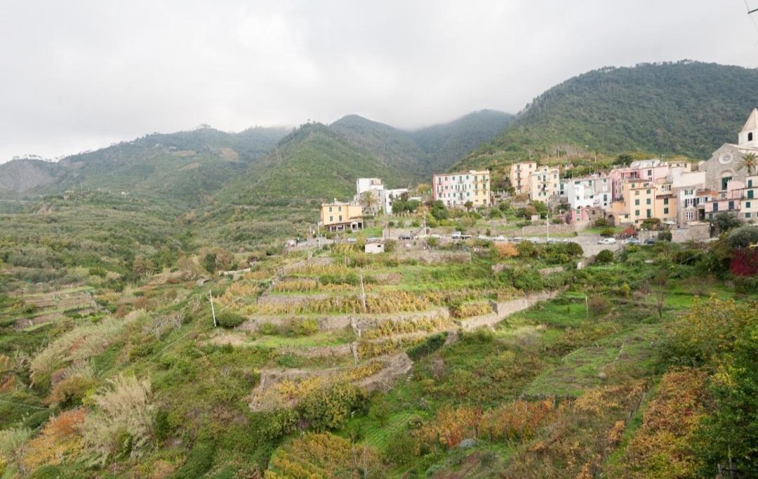 Hotel Arbanella Corniglia Pokój zdjęcie