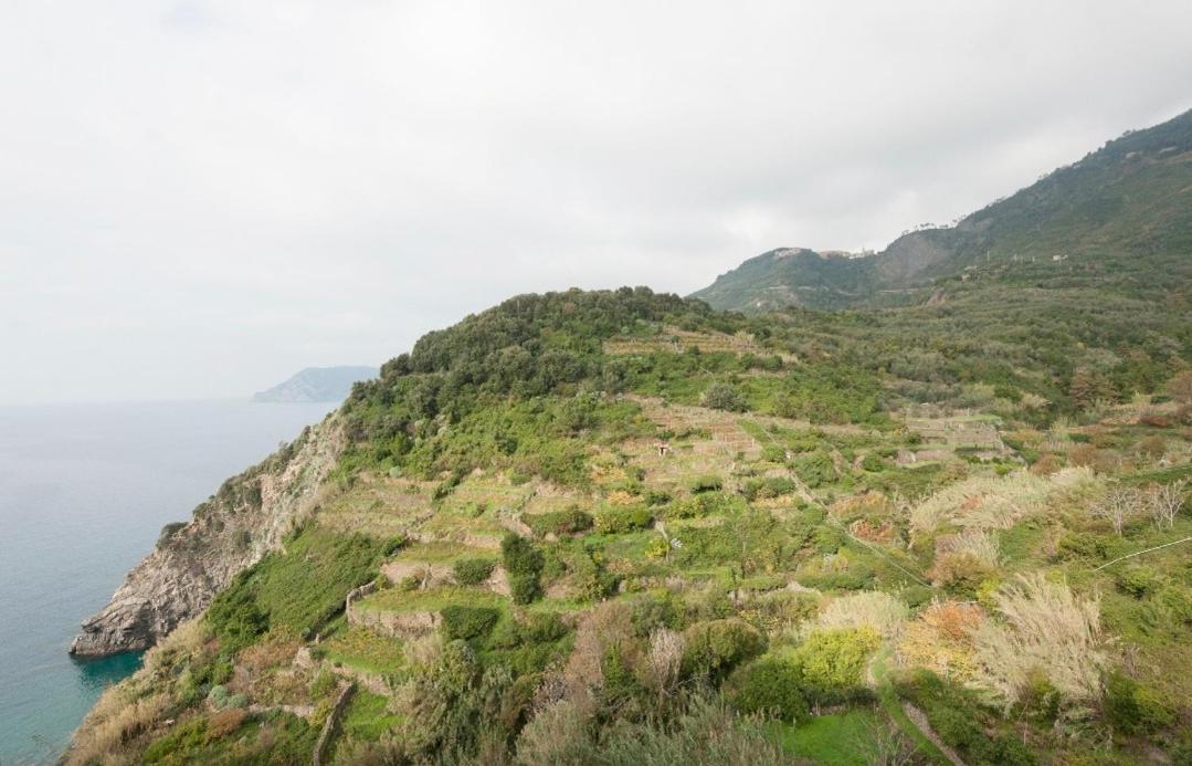 Hotel Arbanella Corniglia Pokój zdjęcie